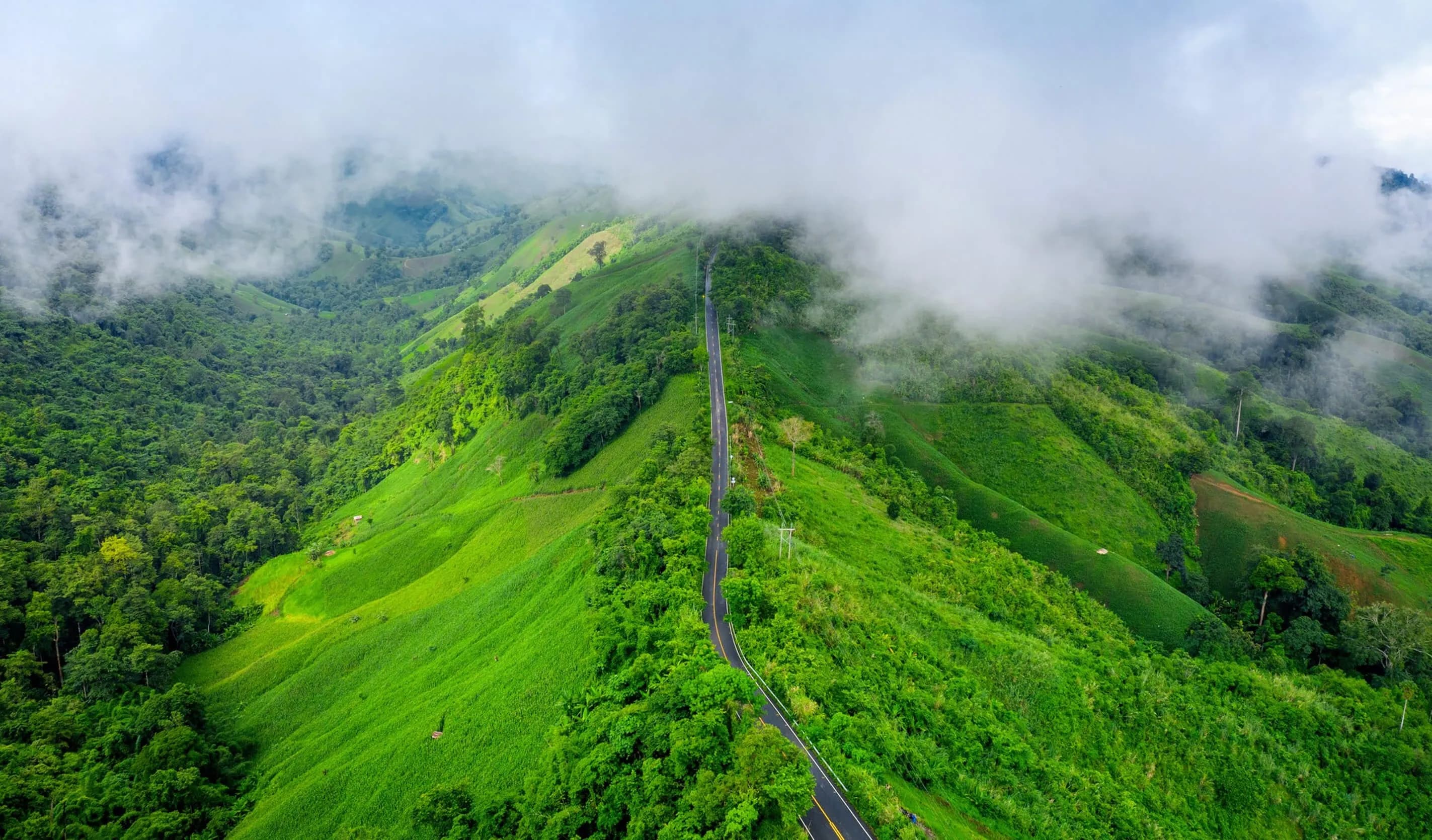 Coorg